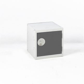 Armadietto Acciaio Grigio scuro, grigio chiaro RS PRO 1 porta No, 300 mm x 300 mm x 300mm