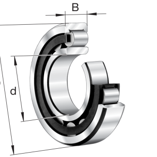 Cuscinetto a rullo FAG, Ø int. 55mm, Ø est. 100mm, guida larga 21mm