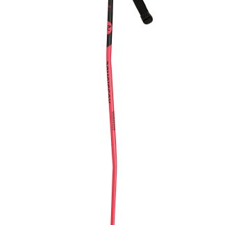 Rossignol - Skipoles - GS SG - Junior