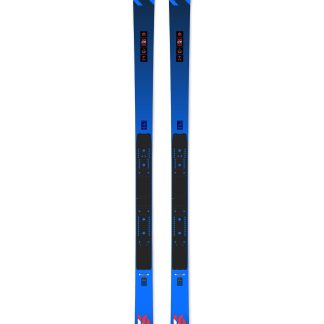 SKI DYNASTAR SPEED COURSE WC FIS GS FACTORY 193 R22
