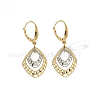 Yellow White Gold Earrings