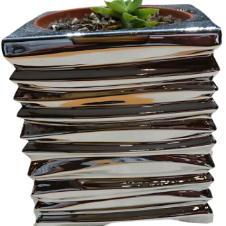 Sequence Succulents Pot