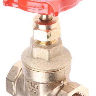 Valvola a saracinesca in Ottone RS PRO, 20 bar max, connessione BSPT 1/2