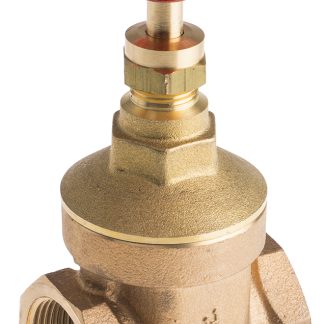 Valvola a saracinesca in Bronzo RS PRO, 20 bar max, connessione BSPT 1 1/2