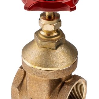 Valvola a saracinesca in Bronzo RS PRO, 20 bar max, connessione BSPT 2