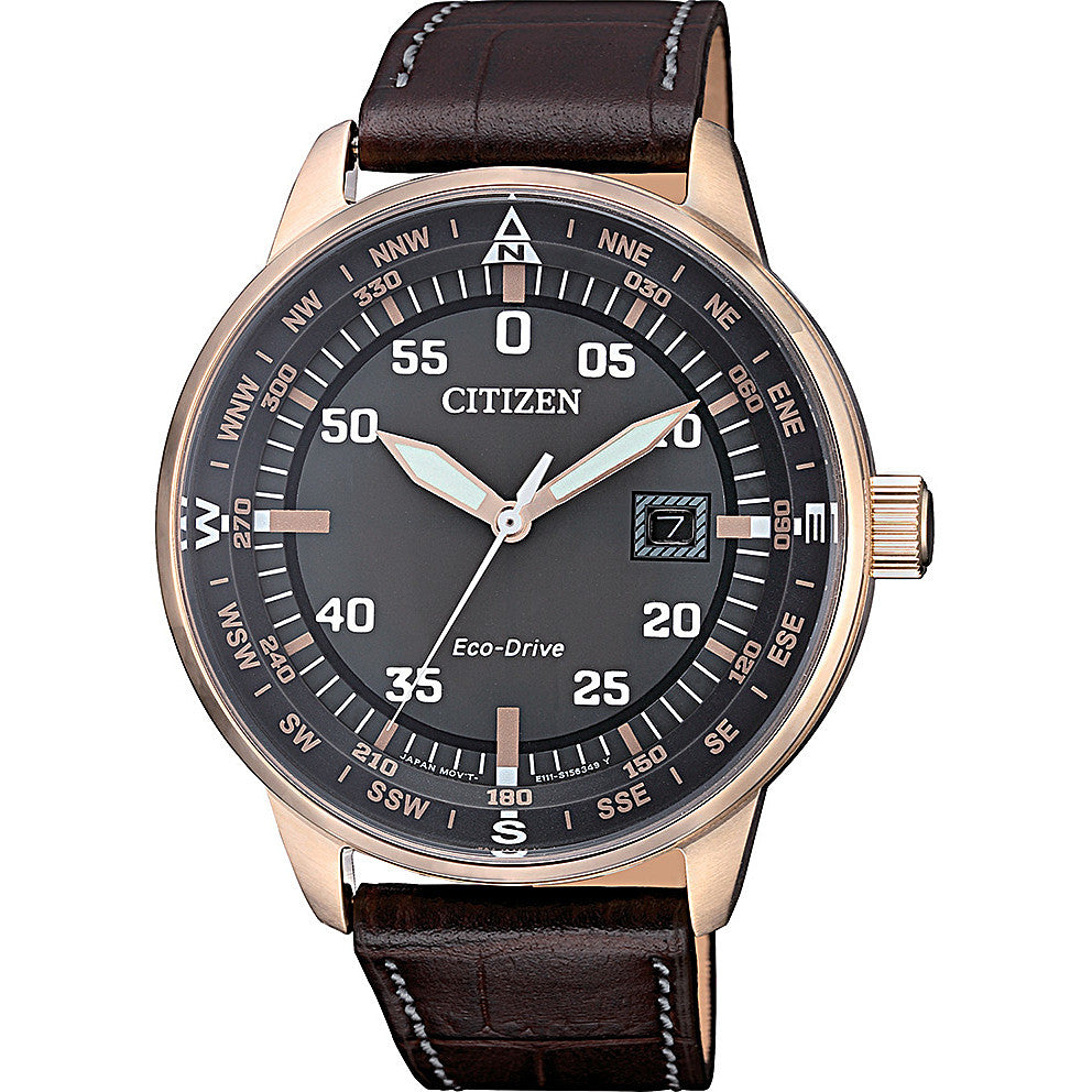 Citizen Aviator watch