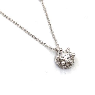 Collana Punto Luce Poesia Salvini