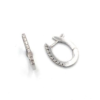 Clesi White Gold Earrings